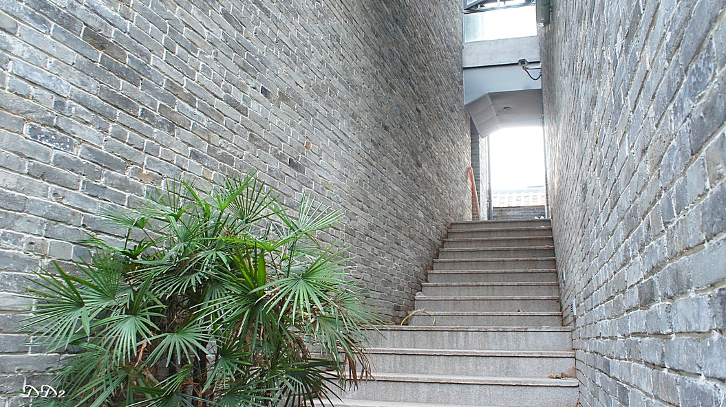 http://i.dcview.tw/gallery/201206/a74098ab27638fb22abe11e553f1bd0f.jpg