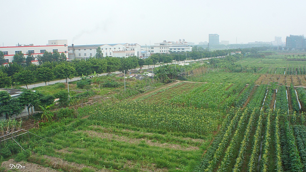 http://i.dcview.tw/gallery/201206/a8f3a135a1ac2d1925e6d40dca8d5b60.jpg