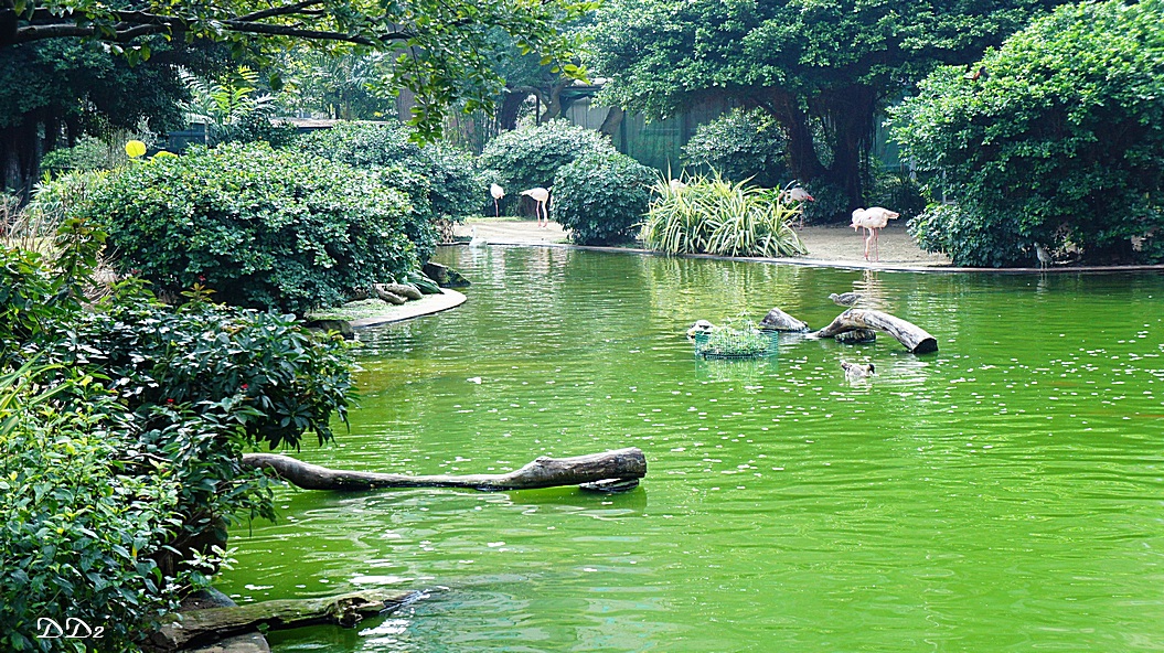 http://i.dcview.tw/gallery/201206/ac3b55358fc05460e537304d8cde1954.jpg