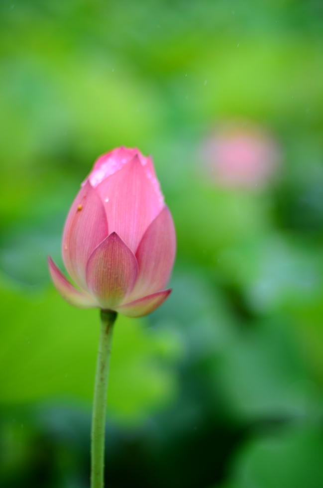 http://i.dcview.tw/gallery/201206/acd1407ecdeba04bc2b80492edda9ee0.jpg