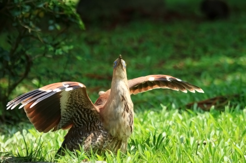 http://i.dcview.tw/gallery/201206/aebdd44b973faba573b8b4f3962e9544.jpg