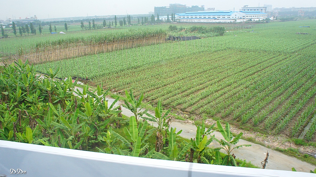 http://i.dcview.tw/gallery/201206/af811a7eb05629ff69f2033f902db5a4.jpg