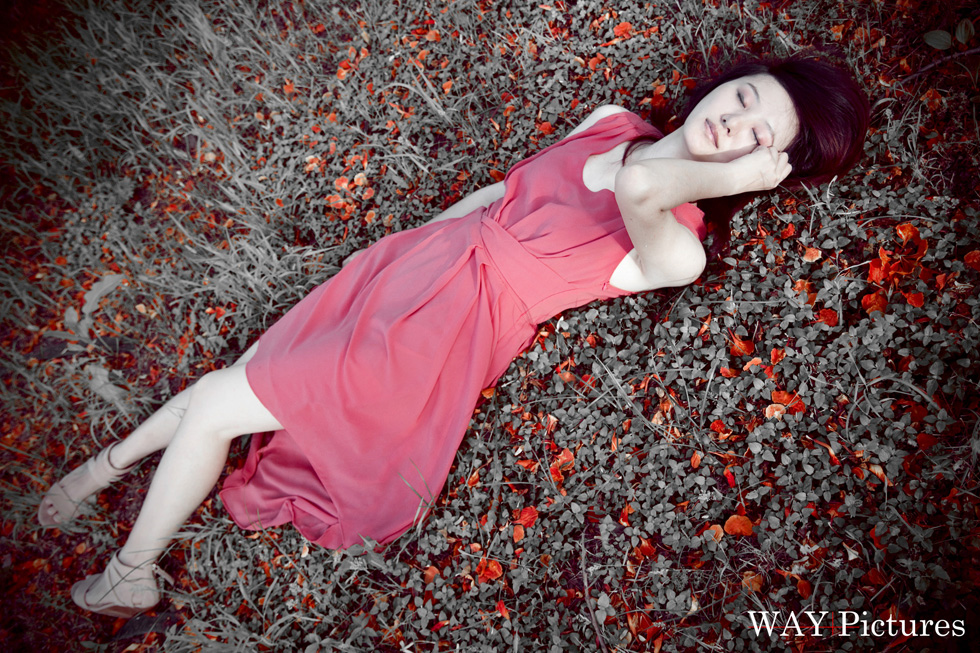 http://i.dcview.tw/gallery/201206/b877daee79973ab1c4cd6a035b8c4c10.jpg