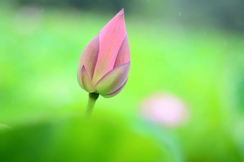 http://i.dcview.tw/gallery/201206/bb6050a778a5e7cce8d2c62870cb66dc.jpg
