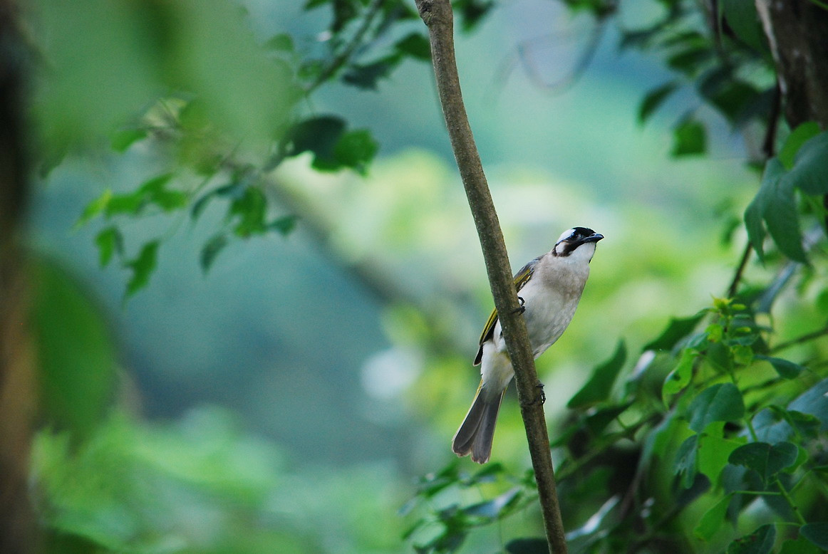 http://i.dcview.tw/gallery/201206/bb9eea31be9a5e70e4a0e671e51e5270.jpg