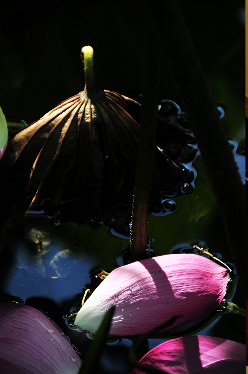 http://i.dcview.tw/gallery/201206/bbe847e1594b039824d9967a1298a734.jpg