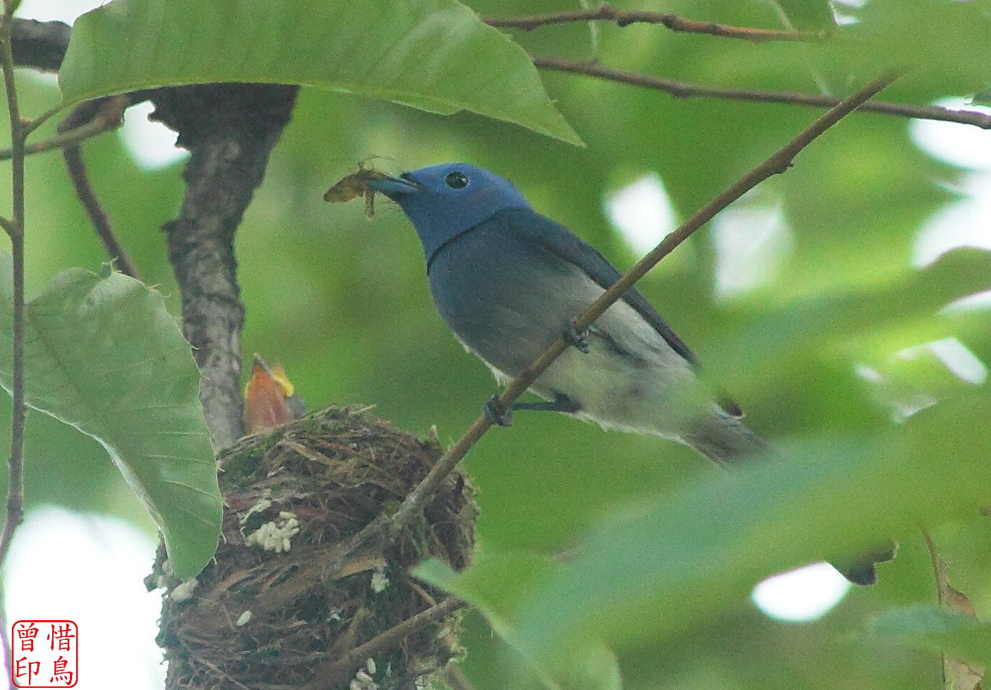 http://i.dcview.tw/gallery/201206/c0e7cbcc4fde646f45c7fa5e6a656687.jpg