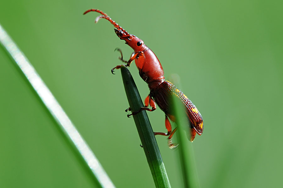 http://i.dcview.tw/gallery/201206/c130c5625661571c655eb9910ae0e6be.jpg