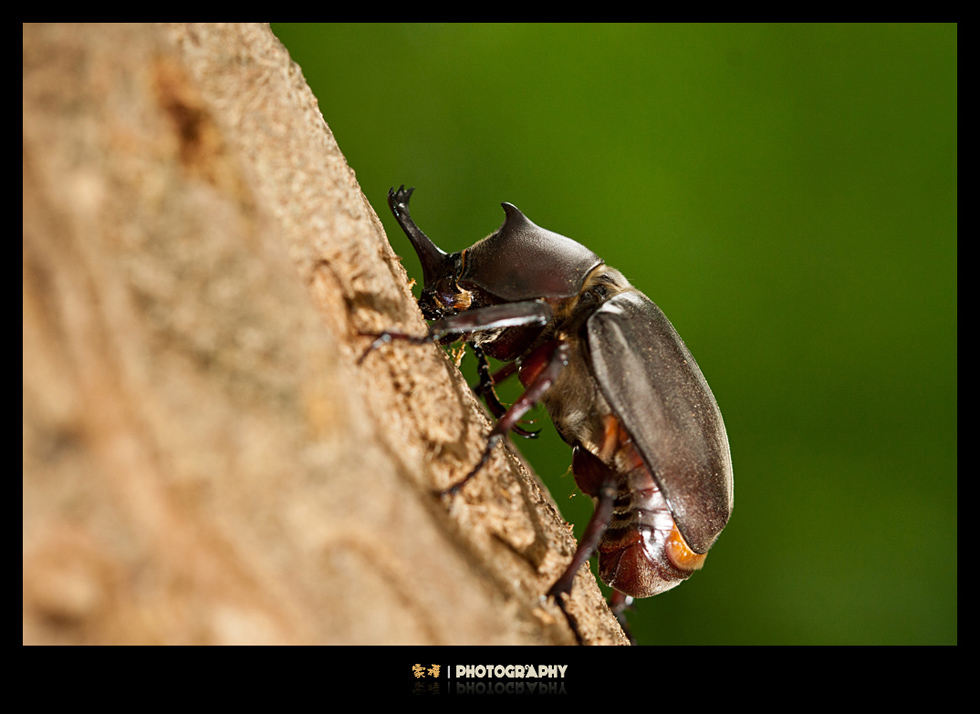 http://i.dcview.tw/gallery/201206/c37e26cf68afa224668ee9f8f1735c05.jpg