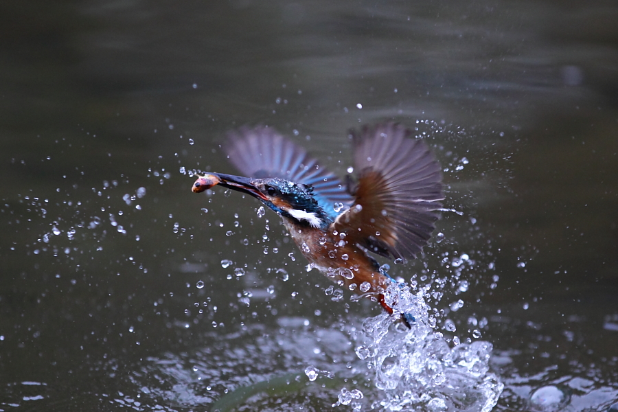 http://i.dcview.tw/gallery/201206/c57cdd179d05a760ea37e4bfe83fb699.jpg