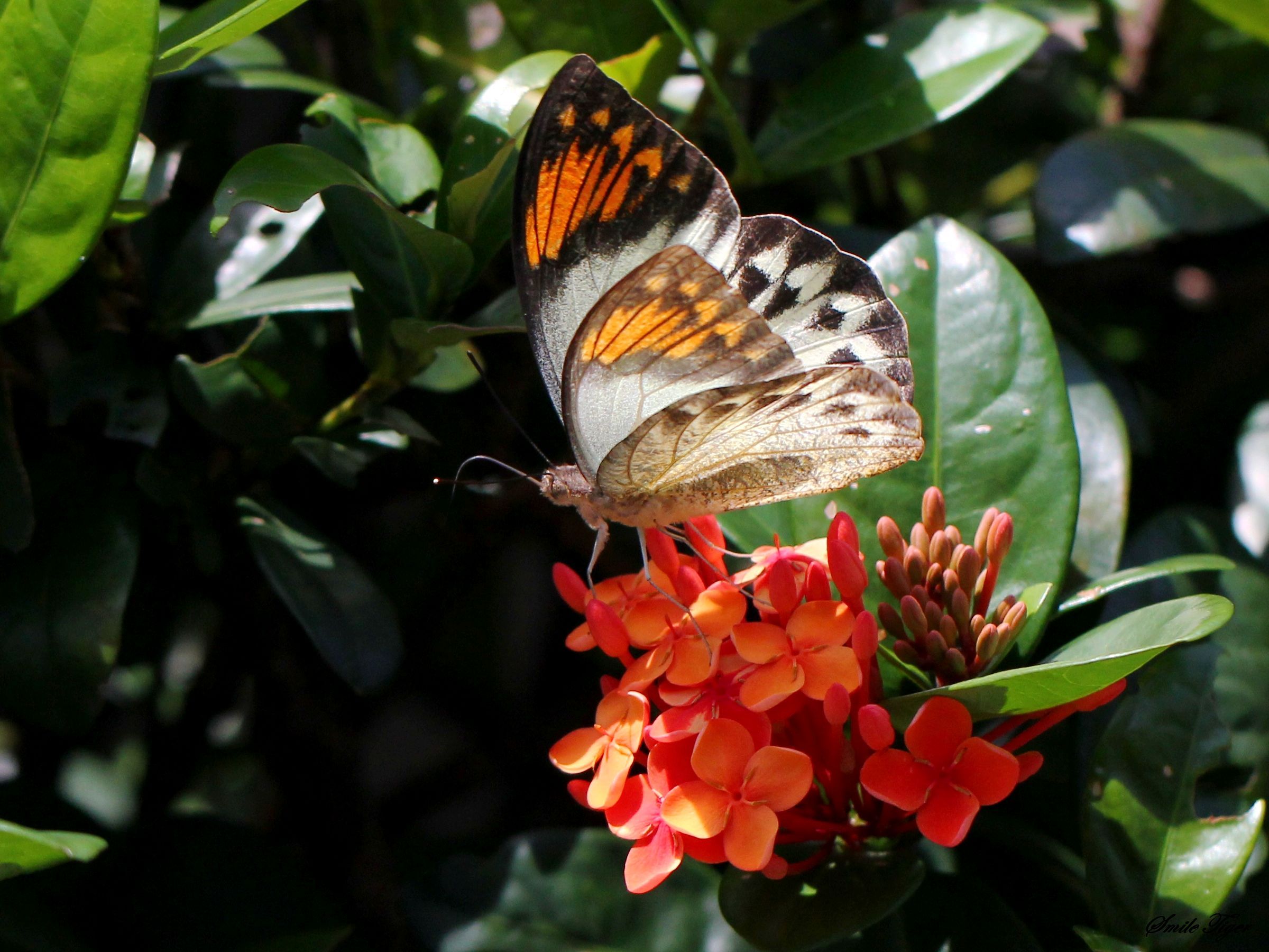 http://i.dcview.tw/gallery/201206/c84d9dee6e865c2bc7aeda43cb399699.jpg