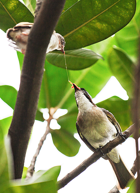 http://i.dcview.tw/gallery/201206/d64f44e3634b7766474d989d05cddb84.jpg
