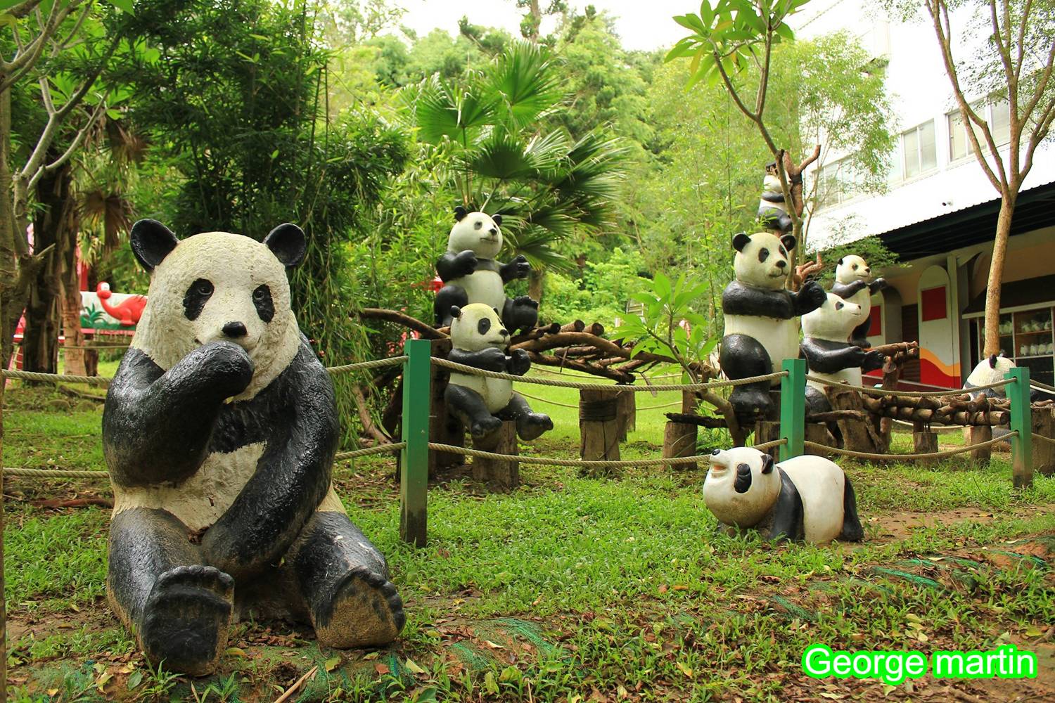 http://i.dcview.tw/gallery/201206/d919c31a87e1097e2457f05827a9ab24.jpg