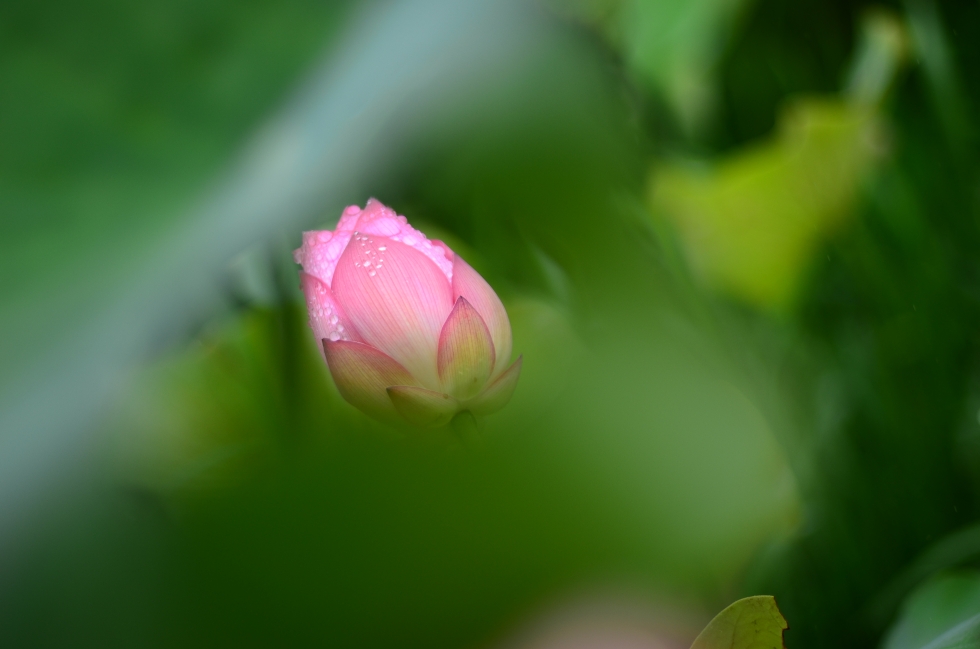 http://i.dcview.tw/gallery/201206/dabbad2409622678424e85defc33d455.jpg