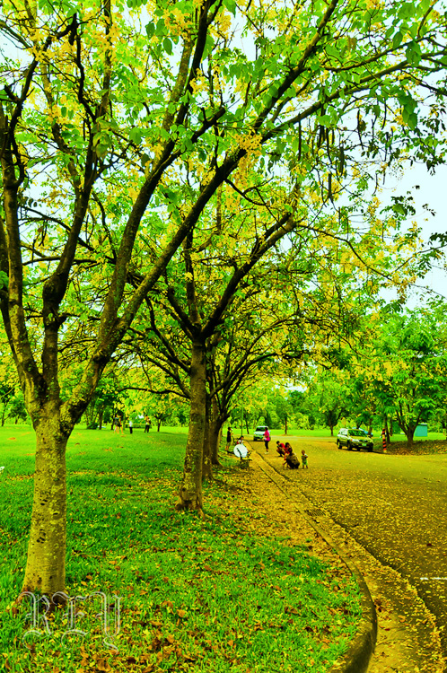 http://i.dcview.tw/gallery/201206/dac34e29f7c51bef1bb38e9eeac8aaa5.jpg