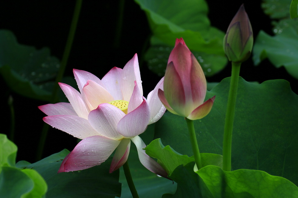 http://i.dcview.tw/gallery/201206/de63d73fa28c3f3dffd4c13a415b062d.jpg
