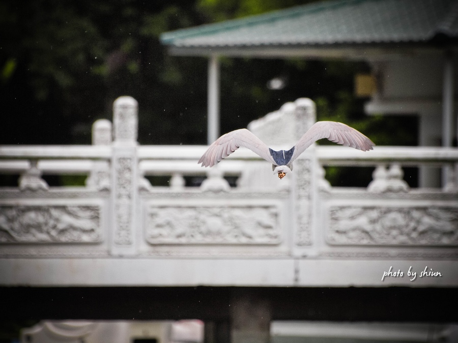http://i.dcview.tw/gallery/201206/dfe9651a43555704483c616d51a648b1.jpg