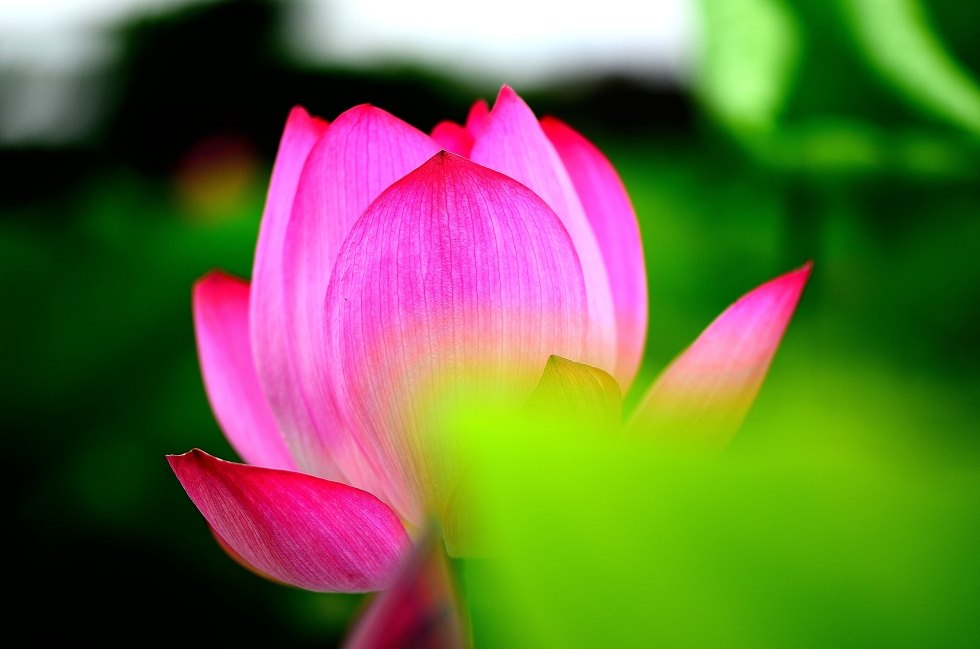 http://i.dcview.tw/gallery/201206/e00085e8f28528080c0f544e0097a285.jpg