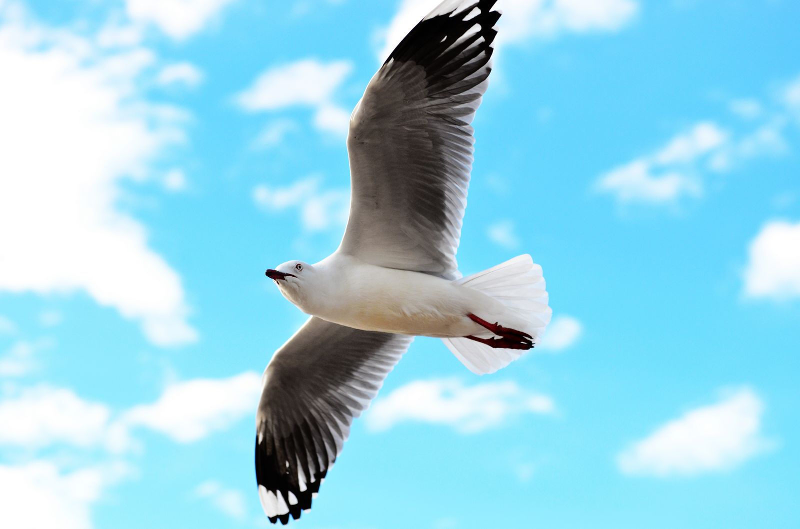 http://i.dcview.tw/gallery/201206/e281a04ec162ed8b400411e8d283af1f.jpg