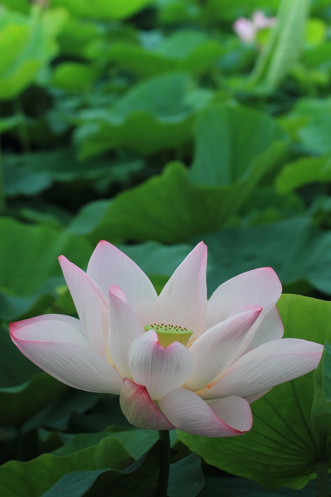 http://i.dcview.tw/gallery/201206/e680a0727d7c6a45e770b5b4c8931c8d.jpg