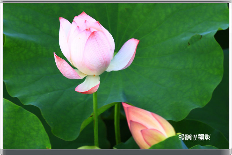 http://i.dcview.tw/gallery/201206/e6a396e7d19f073af7e1f74c2032cb97.jpg