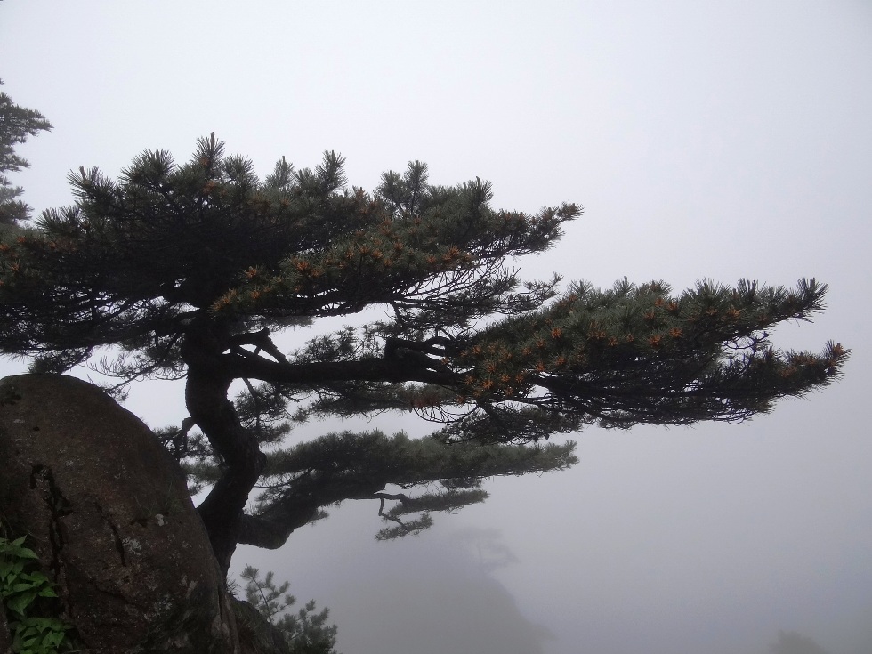 http://i.dcview.tw/gallery/201206/e7e41c880b612ce0c89a374e76a0231d.jpg