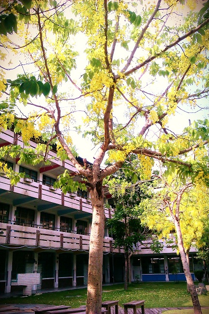 http://i.dcview.tw/gallery/201206/eca94ade37f1bf2f2f5b3044488c536b.jpg