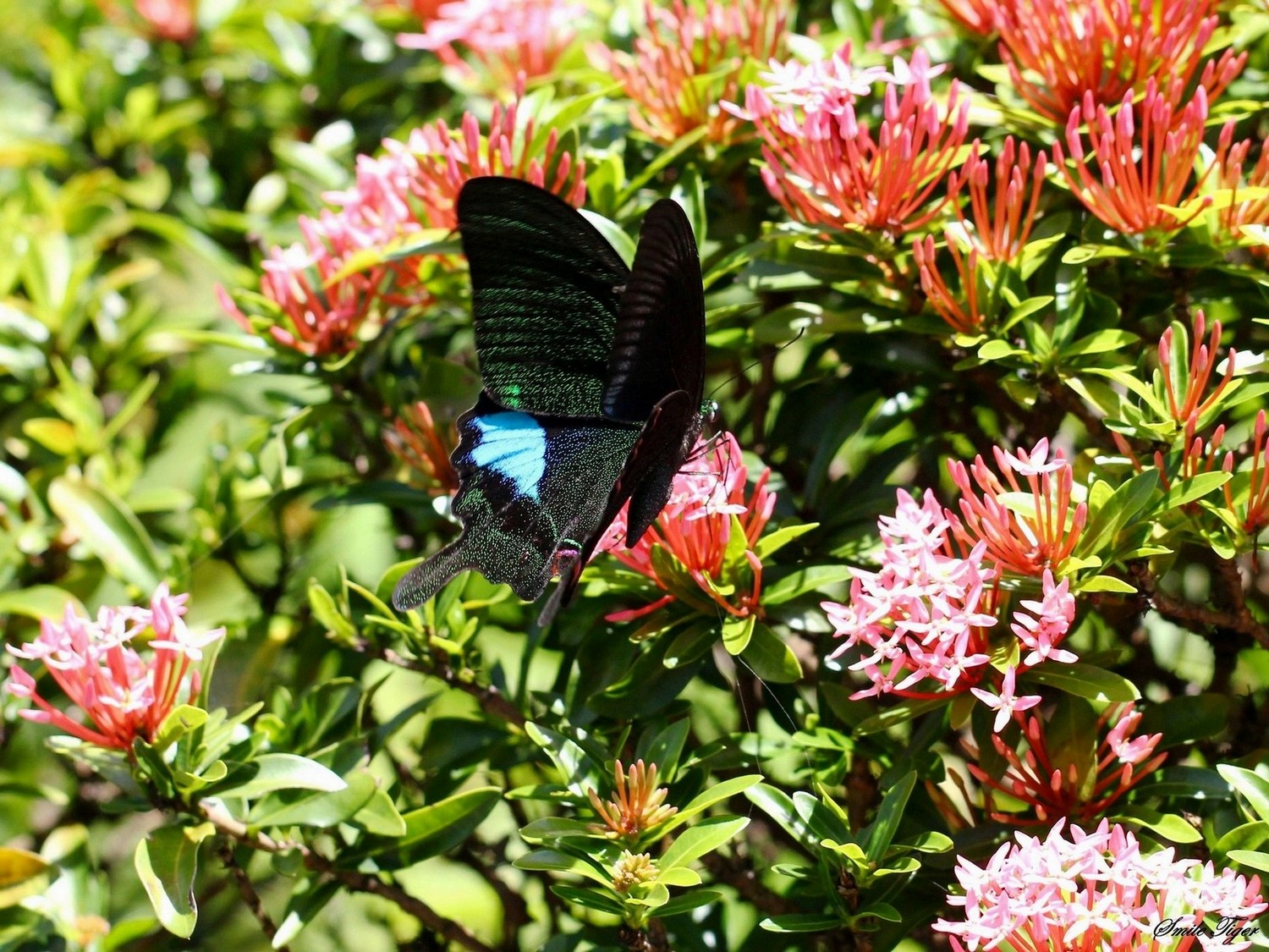 http://i.dcview.tw/gallery/201206/eed02fc22cf2fab358c5307e4ec04da8.jpg