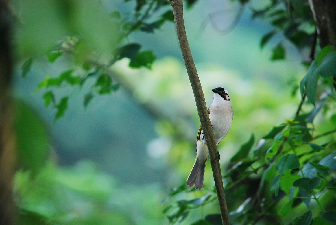 http://i.dcview.tw/gallery/201206/ef764c69c7147d3b2724f0c5a6efed53.jpg