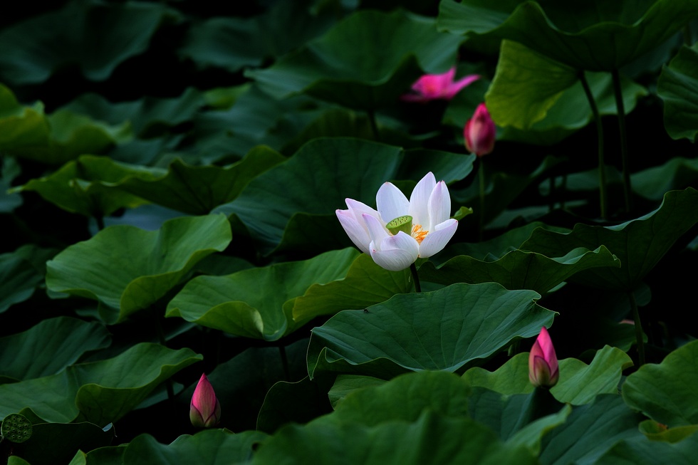 http://i.dcview.tw/gallery/201206/f04ec920ce6a077bd5ef9ed4cdcce33b.jpg