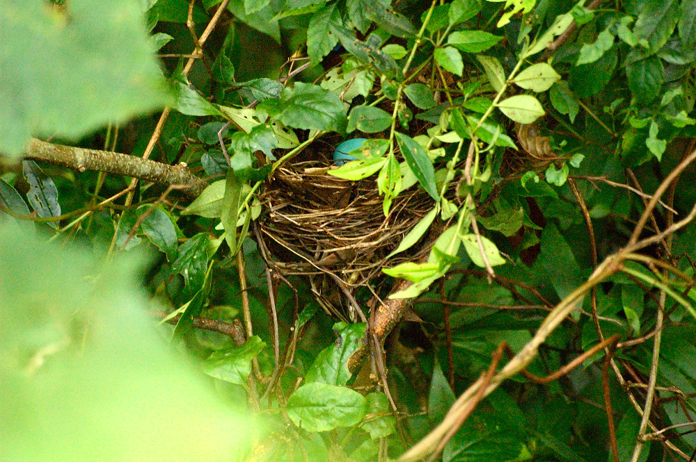 http://i.dcview.tw/gallery/201206/f162b6b4860e18f2975771b2fc21a4c1.jpg