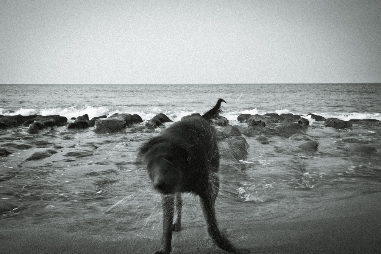 http://i.dcview.tw/gallery/201206/f1d3062aec83196fff51bb57f96bb04d.jpg
