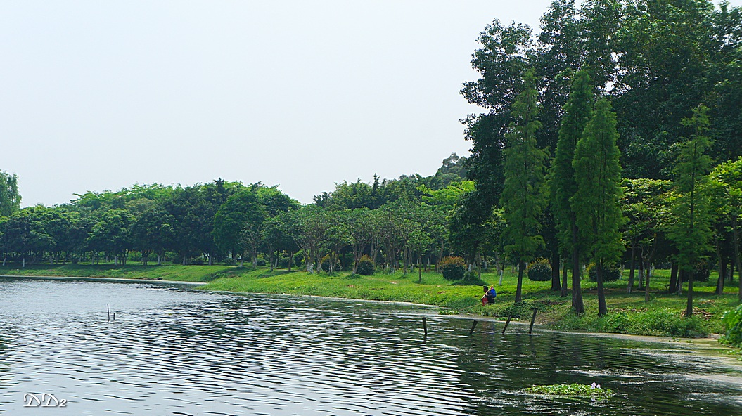 http://i.dcview.tw/gallery/201206/f2a5853d7036066614f035546441e7c8.jpg