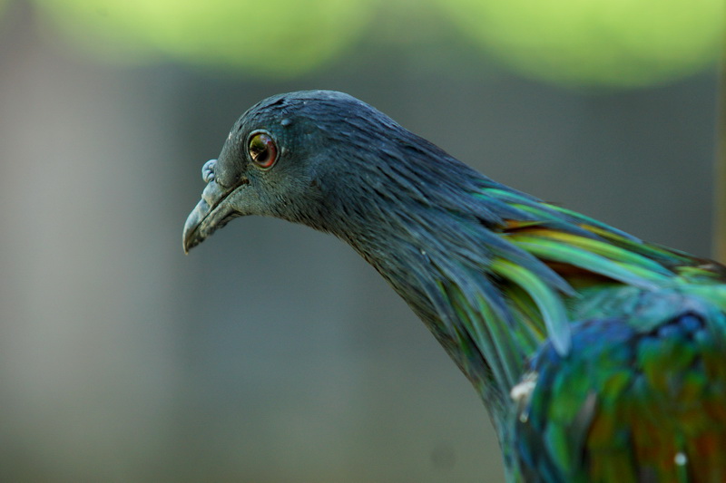 http://i.dcview.tw/gallery/201206/f5a6b9636206251216ced88f843de81e.jpg