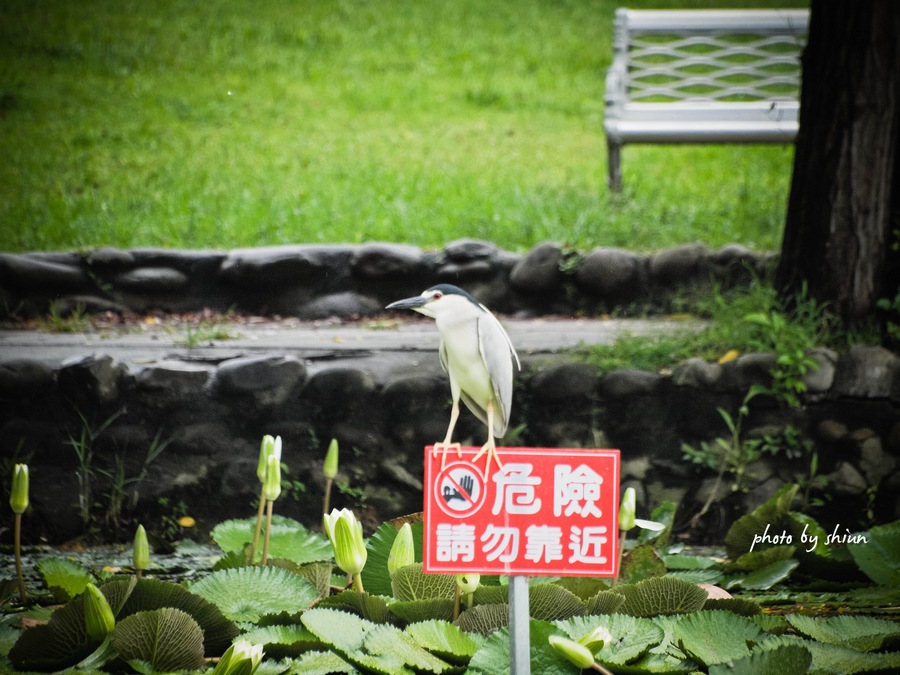 http://i.dcview.tw/gallery/201206/f5ba573521ff32f92c64301eef4859fc.jpg