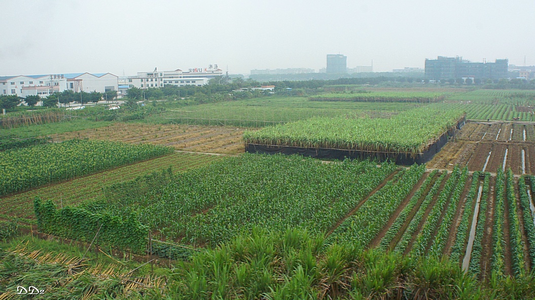 http://i.dcview.tw/gallery/201206/f608008d2bb93893c3563e3f69a674ef.jpg
