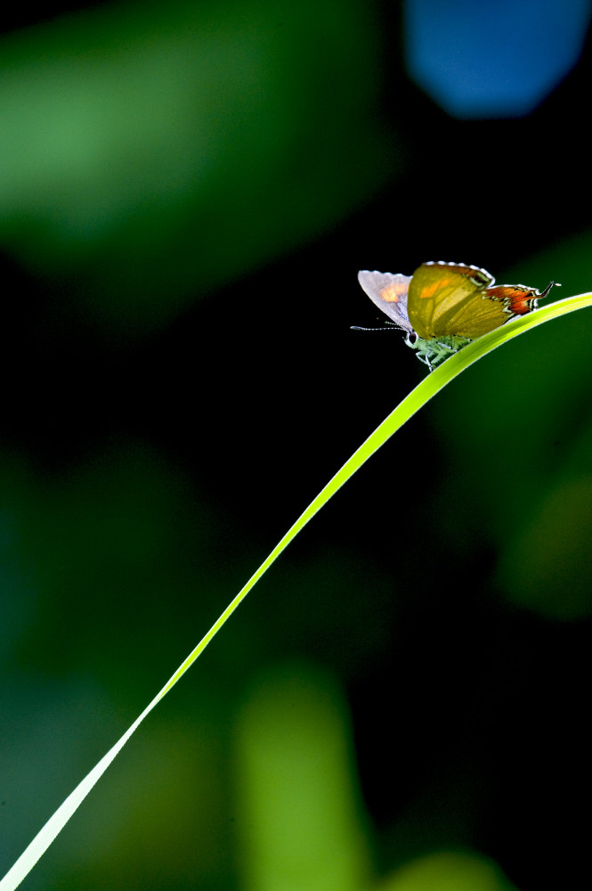 http://i.dcview.tw/gallery/201206/faf38b364b5abc04d4e5ccee22bdc093.jpg