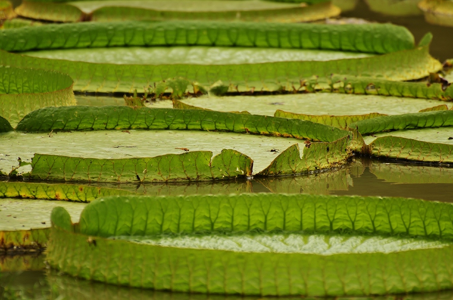 http://i.dcview.tw/gallery/201207/03a432bec6ff04d7be8517ca24a2d5c7.jpg