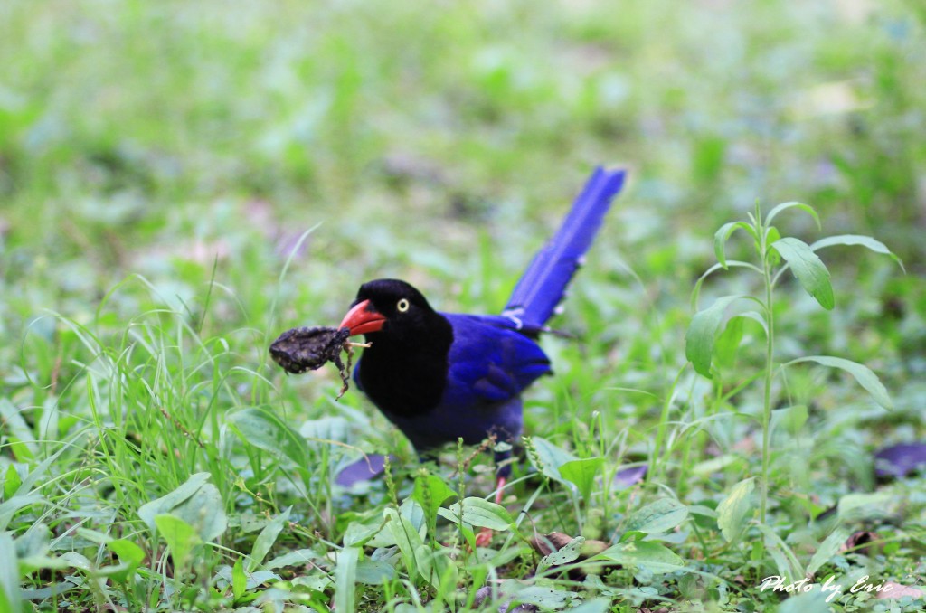 http://i.dcview.tw/gallery/201207/0427fbfa2f9b163b0b6cda04ed48c824.jpg