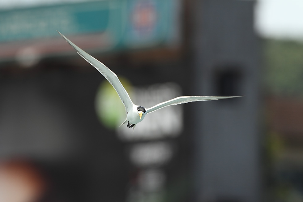 http://i.dcview.tw/gallery/201207/08319b1ae79ad320fc91a9d8e7818d3b.jpg