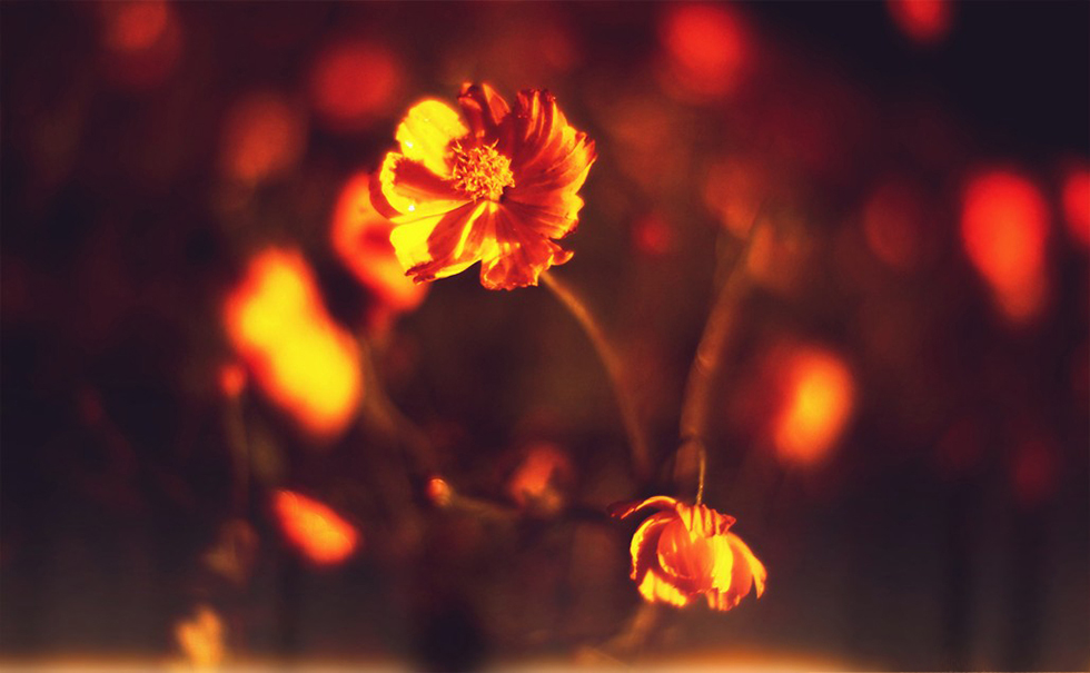 http://i.dcview.tw/gallery/201207/0efb94558bf02433d4ecf5db494d20f7.jpg