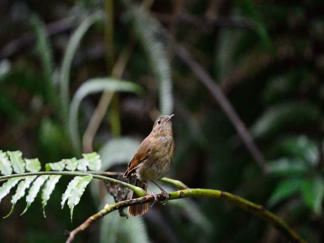 http://i.dcview.tw/gallery/201207/139694434bce0dd4d36d7c9721bd97f0.jpg