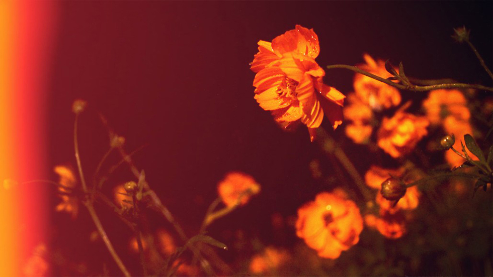 http://i.dcview.tw/gallery/201207/16fb1ab6667b5089a27a01329c52195b.jpg