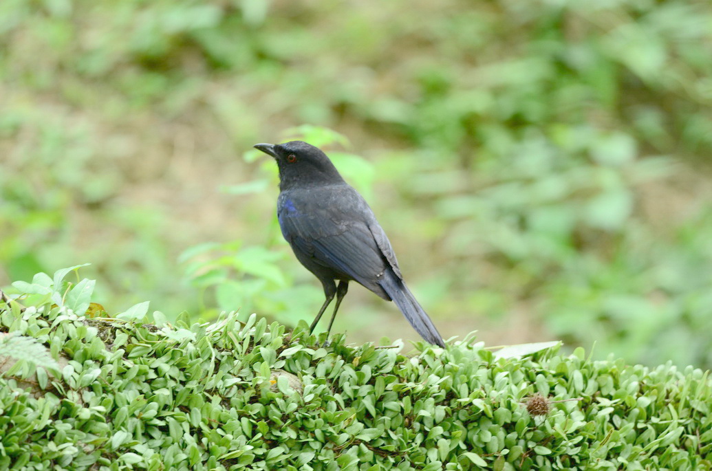 http://i.dcview.tw/gallery/201207/1b23e48b1966d7bbdf5fbcd5dabf5744.jpg