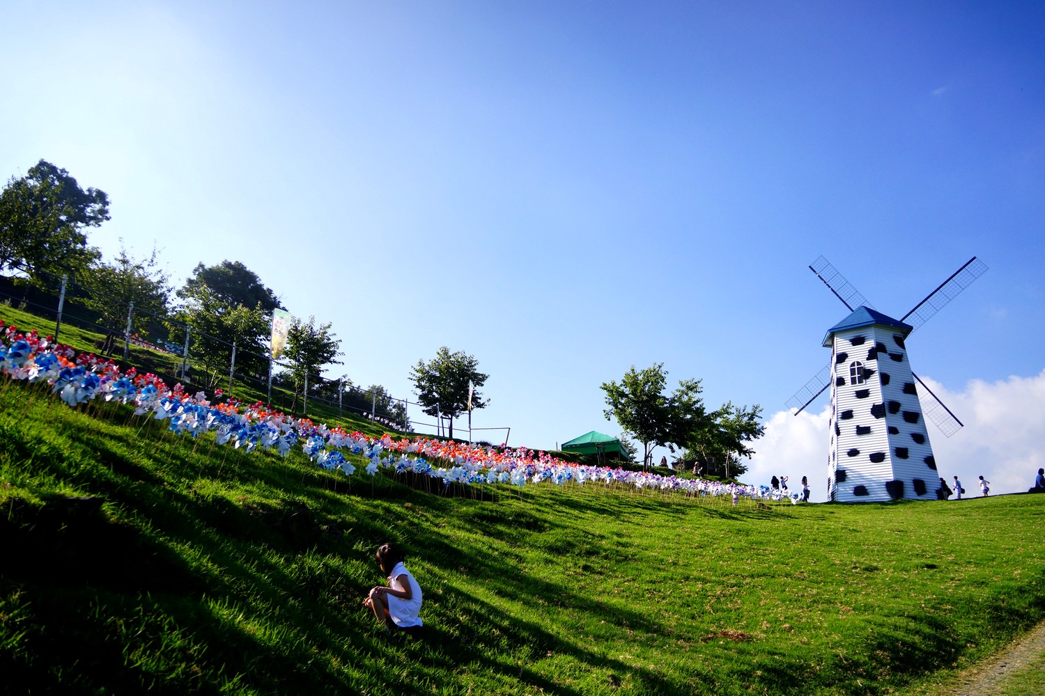 http://i.dcview.tw/gallery/201207/1be3d5f4c51e22ac7da39269c68950ab.jpg