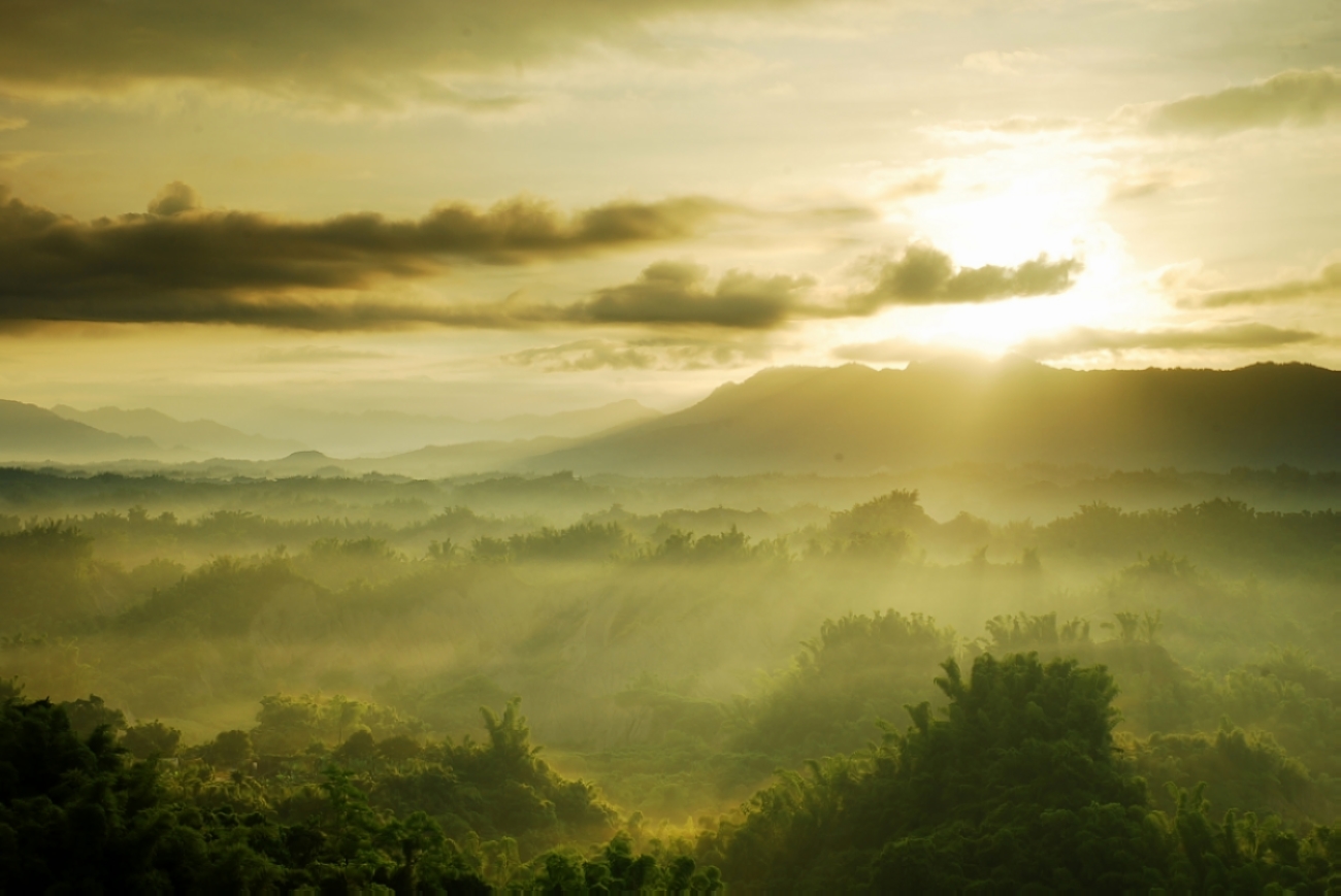http://i.dcview.tw/gallery/201207/232753f26011fb196a9a900e3a42e976.jpg