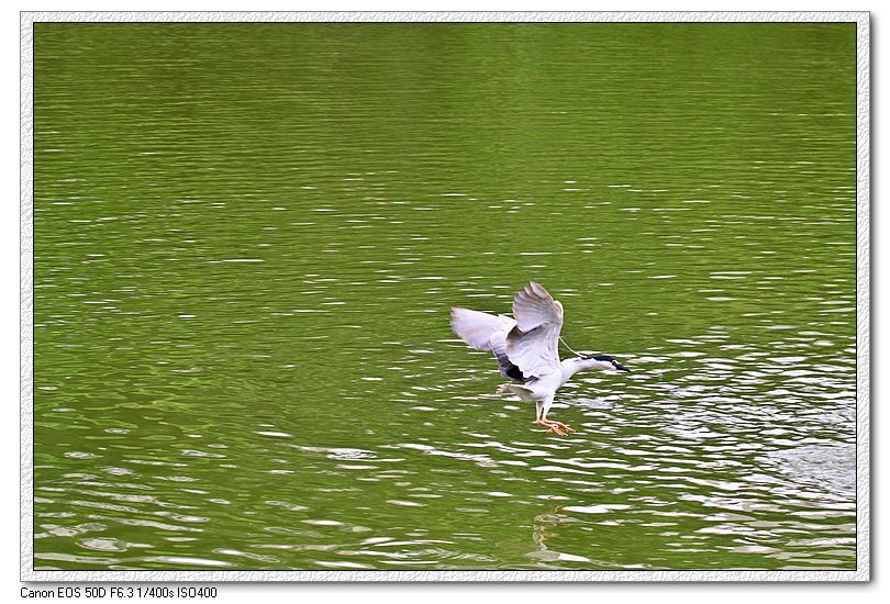http://i.dcview.tw/gallery/201207/23b83bec464f9a0717faa90c848f741c.jpg