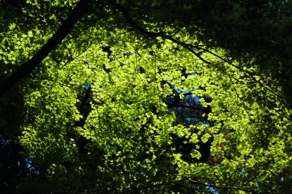 http://i.dcview.tw/gallery/201207/2750d69c71d6a895ffdd1894ef6d2af1.jpg