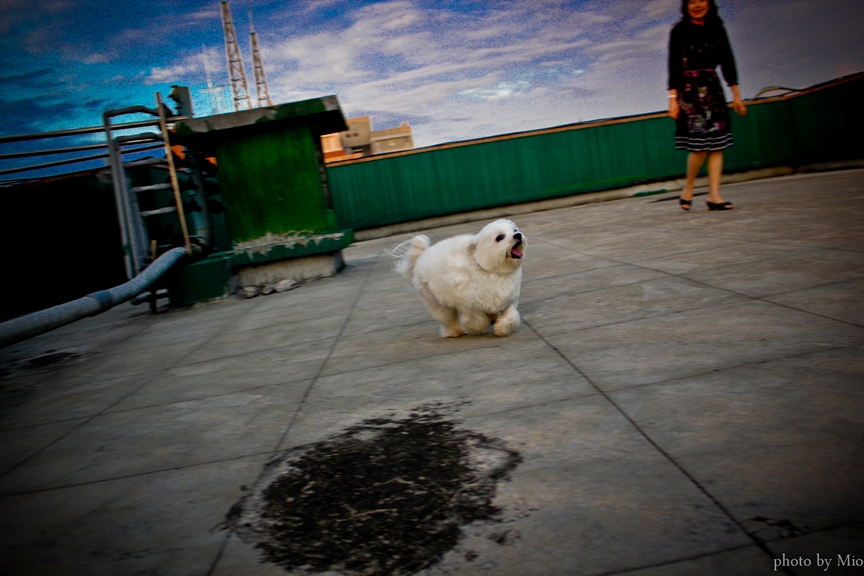 http://i.dcview.tw/gallery/201207/287b464bfa367741dfb5246bf636b6d4.jpg