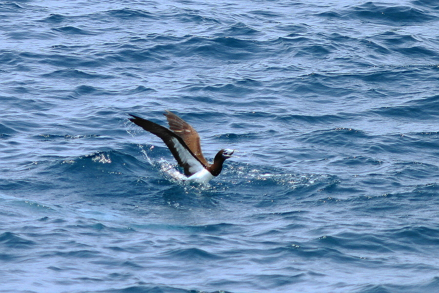 http://i.dcview.tw/gallery/201207/2eab4e0c2ba9a2f0bbc38e79d848517c.jpg